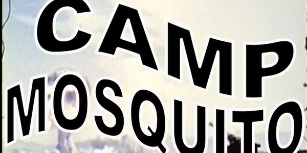 Sign reading 'Camp Mosquito' in bold black letters.