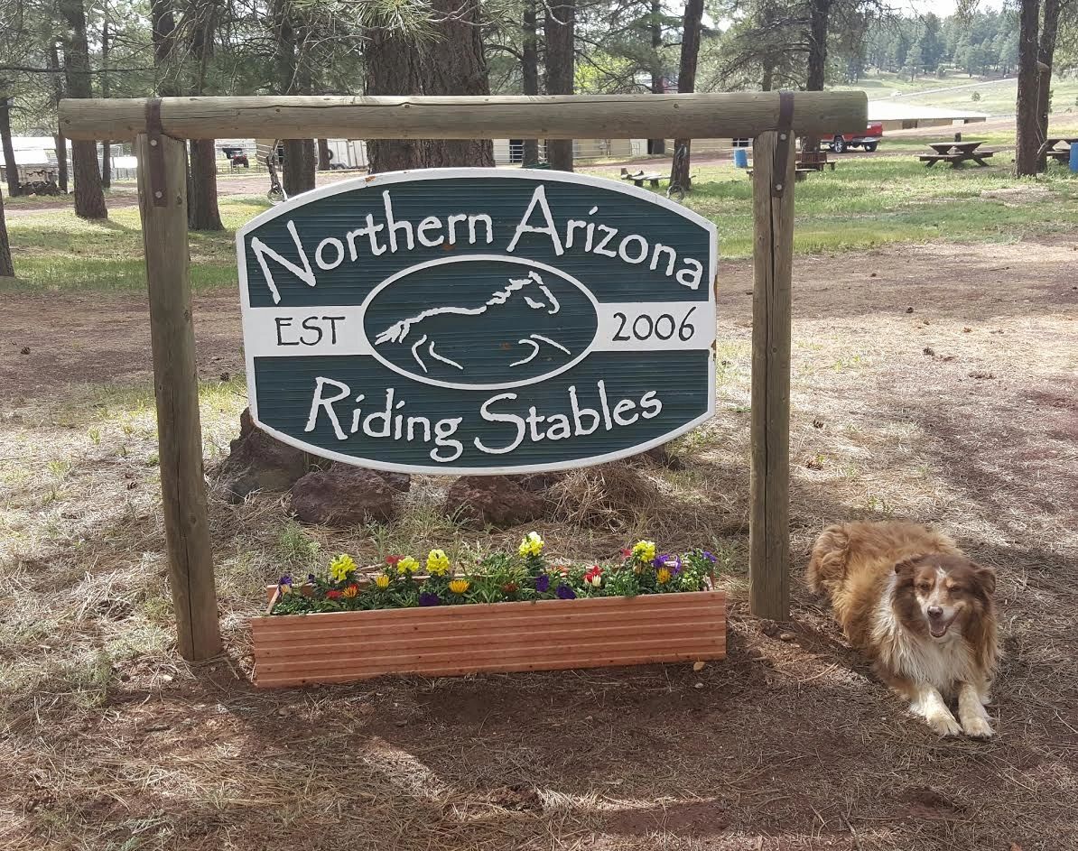 Northern Arizona Riding Stables Horse Boarding, Riding Lessons