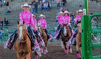 Southeast Mounted Drill Team Association SEMDTA Equestrian Costuming by Hitch-N-Stitch