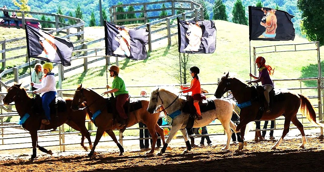 SEMDTA High Point Mounted Drill Team Show Series