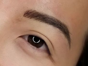 Closeup of natural nano brow hair strokes with shading created as Skyline Ink Studio in Raleigh, NC