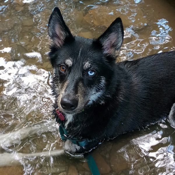 My mom took me to Fall Run Park so I could play in the water. We both had fun.