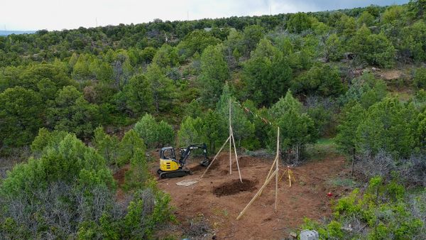 Excavator digging in a forest clearing with wooden stakes around.