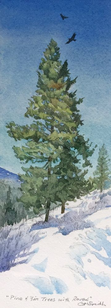 pine fir tree raven plein air waterolour painting art work grant smith studio