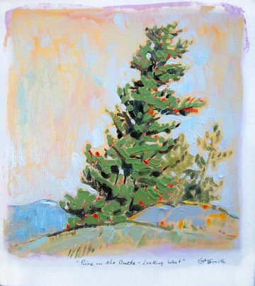 pine butte wycliffe bc art oil painting grant  smith studio