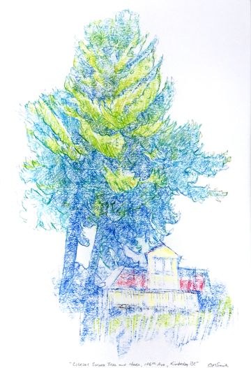 pine kimberley bc art drawing grant smith studio