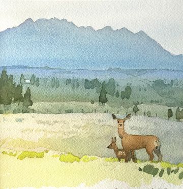 deer rocky mountains wycliffe prairie watercolour watercolor painting grant smith studio