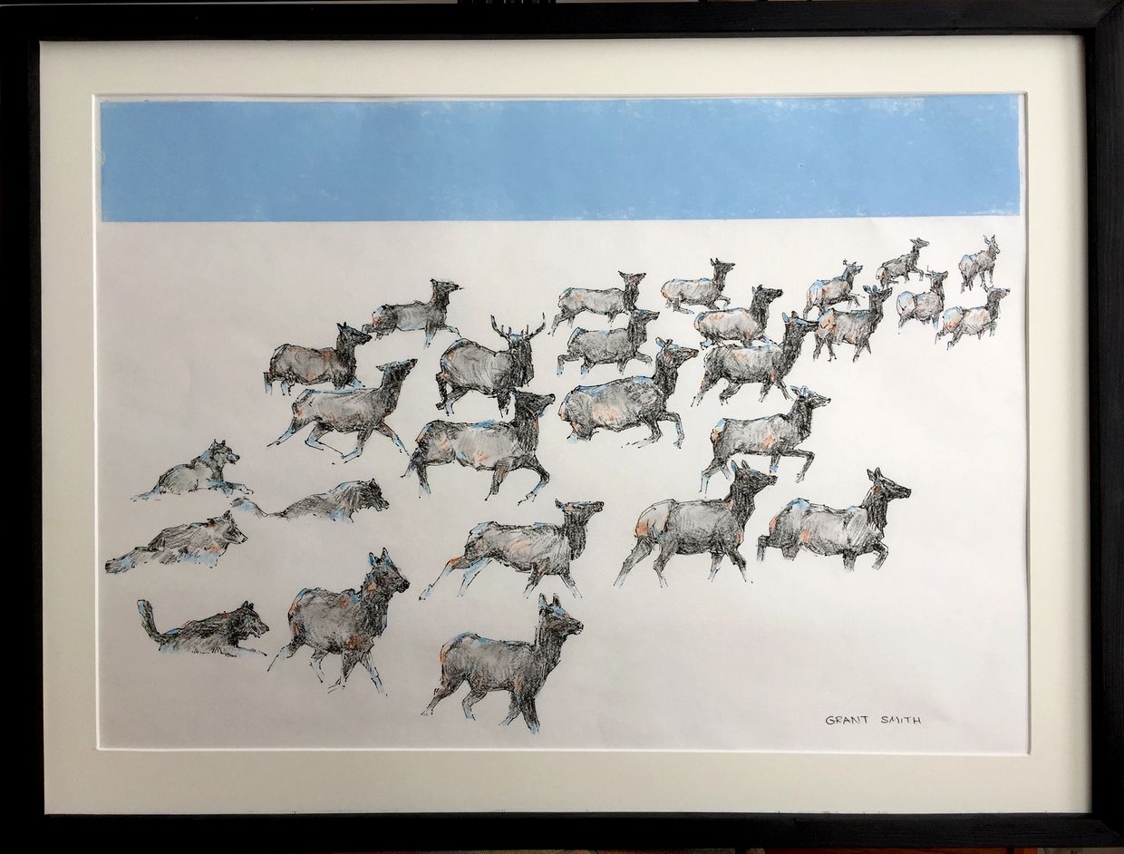 Elk Herd Wolves hunt Grant Smith Studio artwork charcoal drawing Kimberley BC conservation