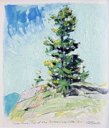 pine butte wycliffe bc oil painting grant smith studio