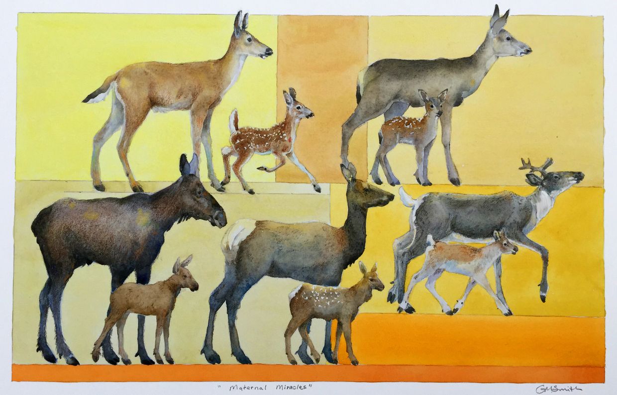 east kootenay wildlife conservation mountain caribou elk moose deer grant smith studio artwork art
