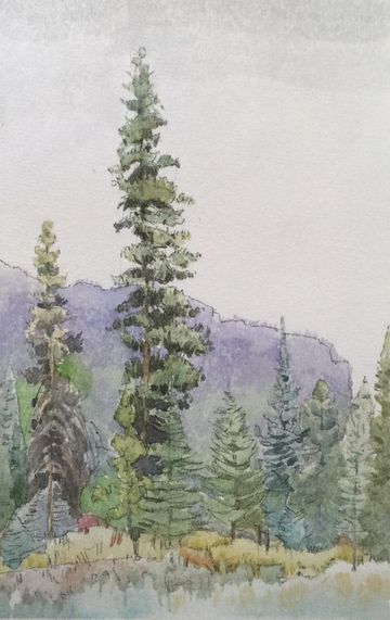 protection mountain banff plein air watercolour painting art work grant smith studio