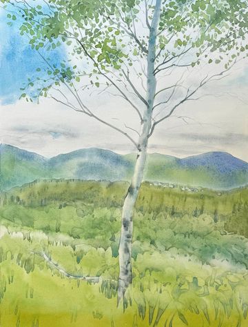 trembling aspen forest crowne  kimberley bc watercolour painting grant smith studio