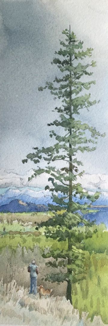 sunflower hill butte kimberley wycliffe bc grant smith studio art artwork watercolour painting