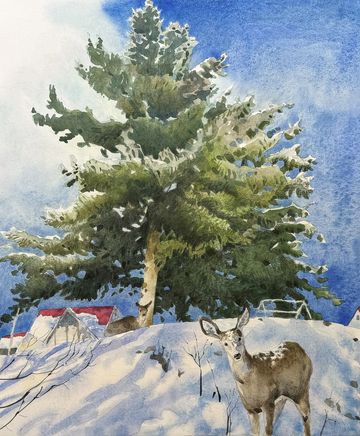 winter curious doe  kimberley bc watercolour painting grant smith studio