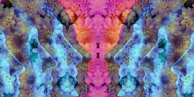 Depression Ketamine Psychedelic Therapy PTSD Anxiety Mental Health Disorder Mushrooms Psylocibin TRD