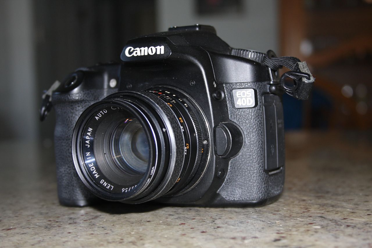 Testing the New Chinon 55mm f1.7 M42 Lens with Flowers