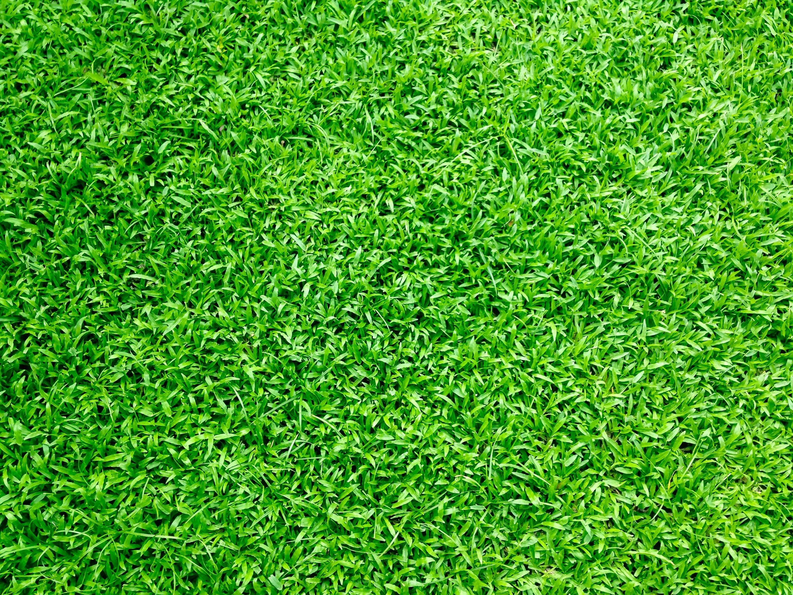 Quality turf supplier serving Wisconsin, Illinois, and Minnesota.
