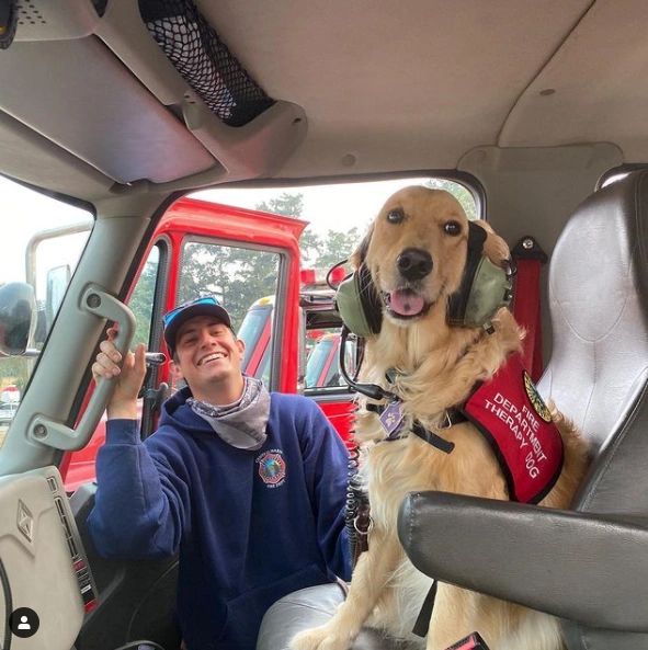 Golden Retriever Therapy Dog Offers Hugs to Firefighters