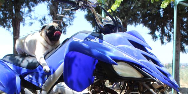 ATV riding in North Lebanon
