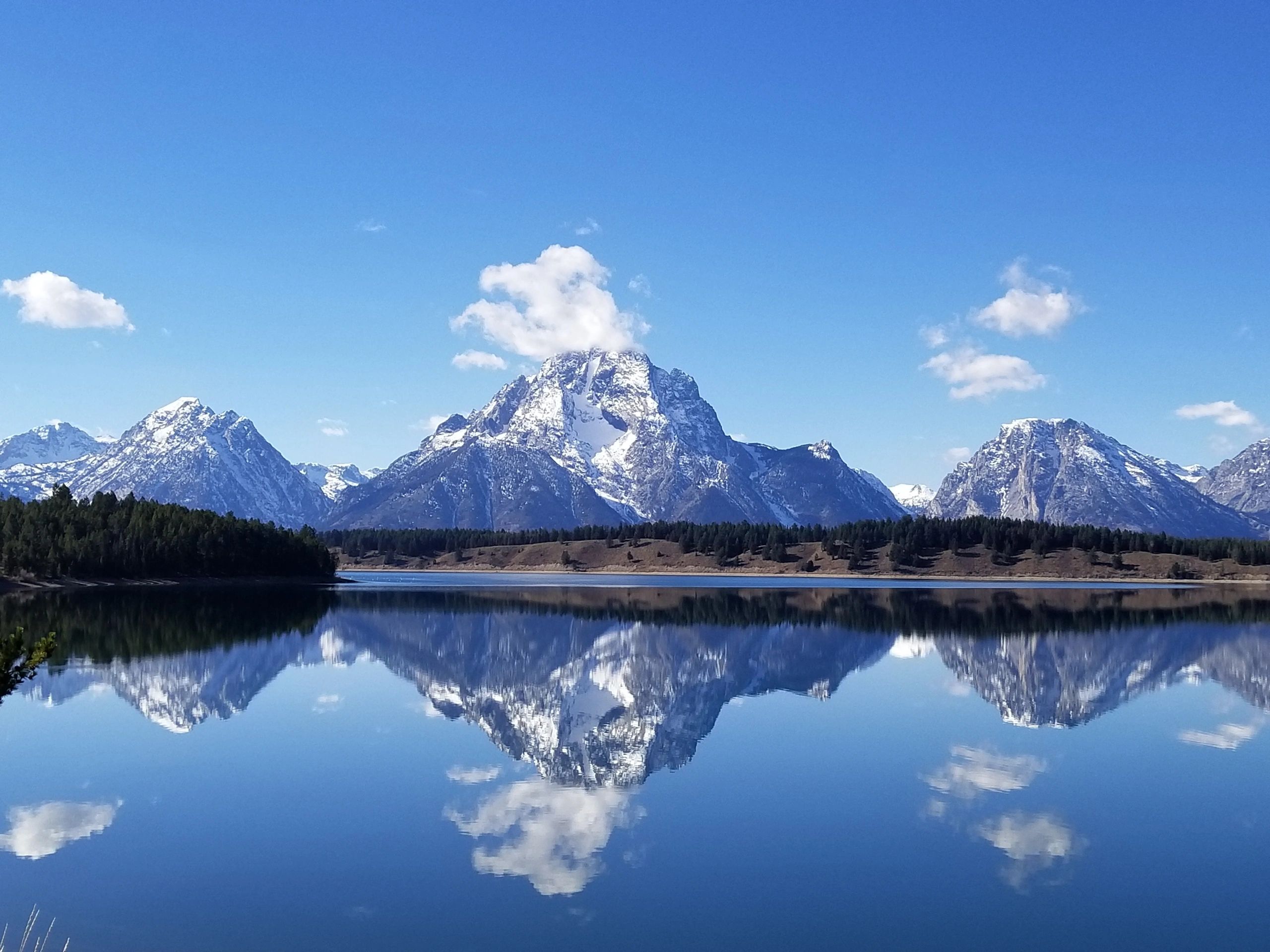 The Trinity Team of Jackson Hole