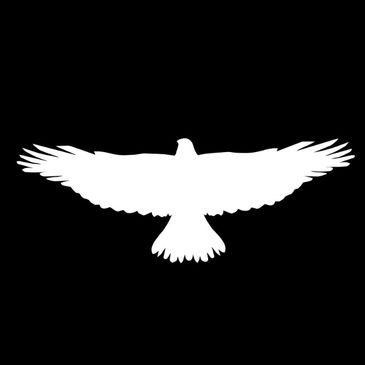 Silhouette of a bird with wings spread against a black background.
