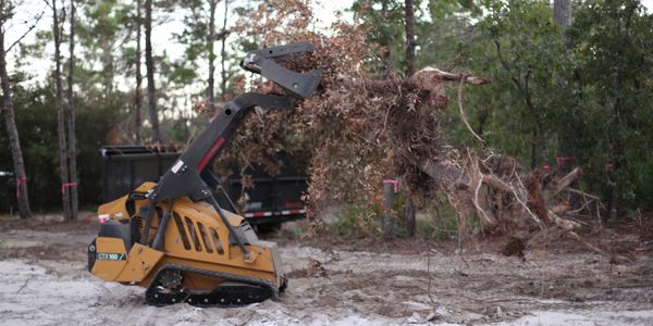 Compact loader removing a tree stump with roots and leaves in a forest clearing.
