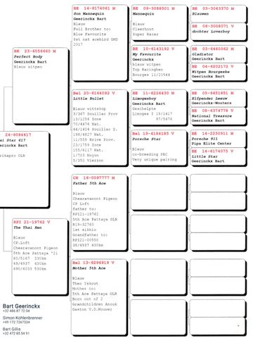 Genealogy chart of Bart Geerinckx's pigeons with detailed lineage.