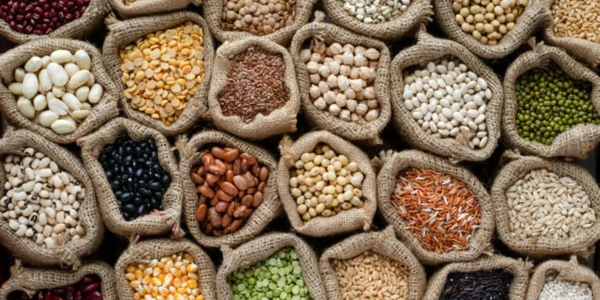 Various types of lentils and beans in burlap sacks.