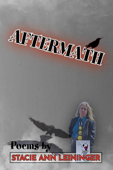 Book cover titled "Aftermath" by Stacie Ann Leininger.