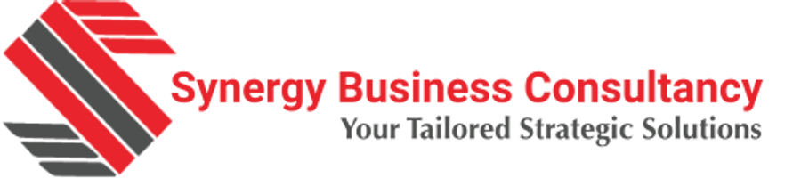 Synergy Biz Consultancy