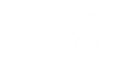 Panther Cams