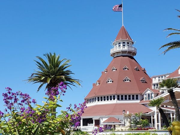 Historic building with an American flag and purple flowers.