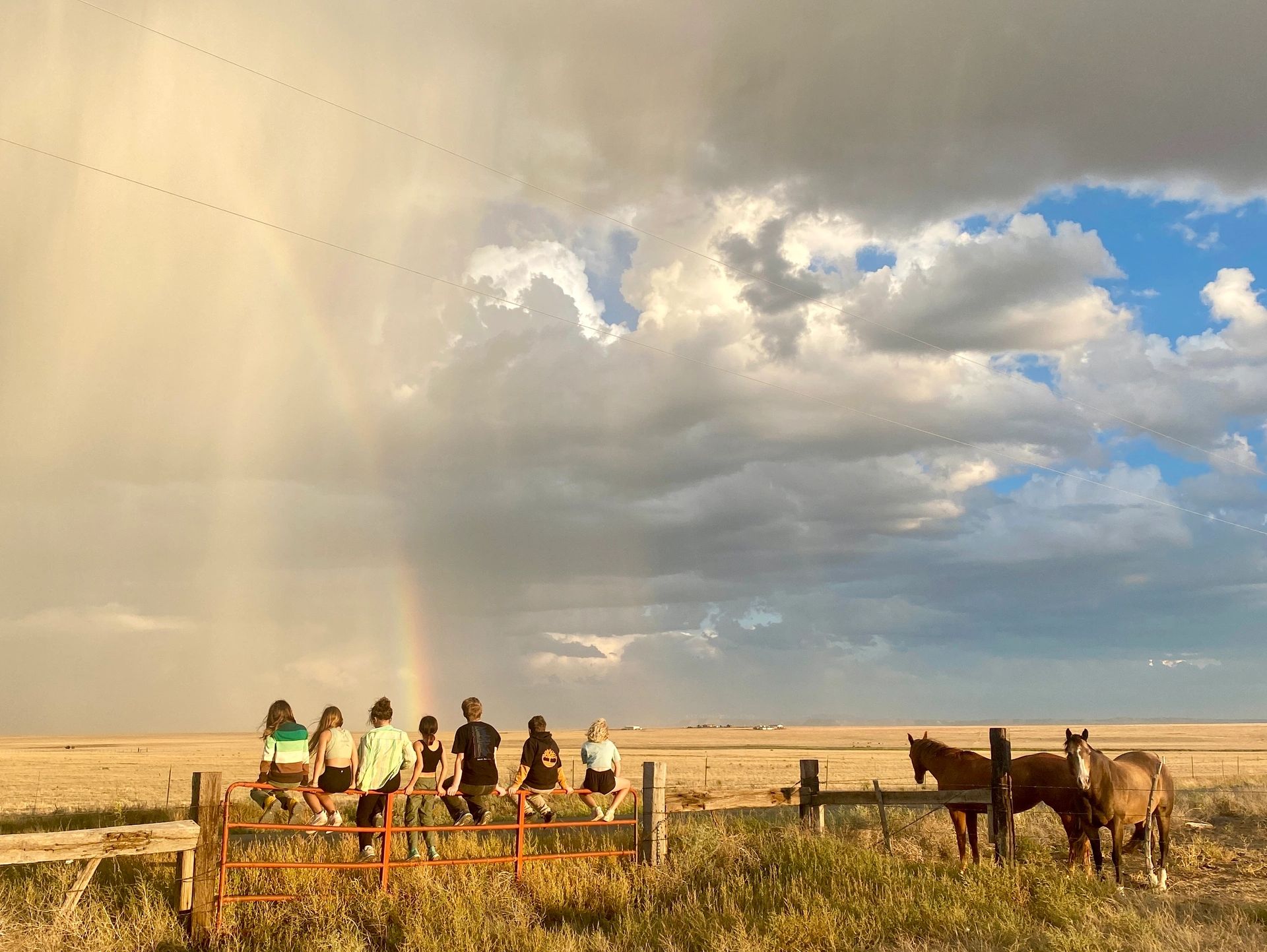 Group of youths sitting on a fence with horses under a cloudy sky and faint rainbow.
