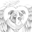 Many Miles 2 Home Rescue
