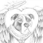 Many Miles 2 Home Rescue