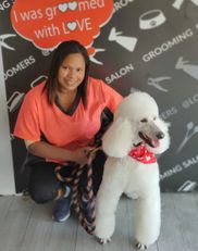 Loving touch grooming salon 2025