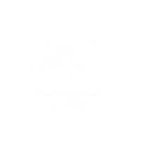 Elevated Saddlefit, LLC