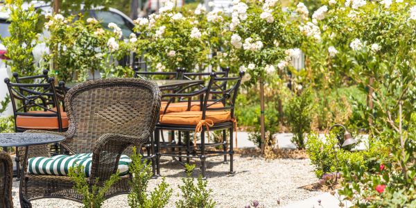 Outdoor seating area with chairs and a table surrounded by flowers.