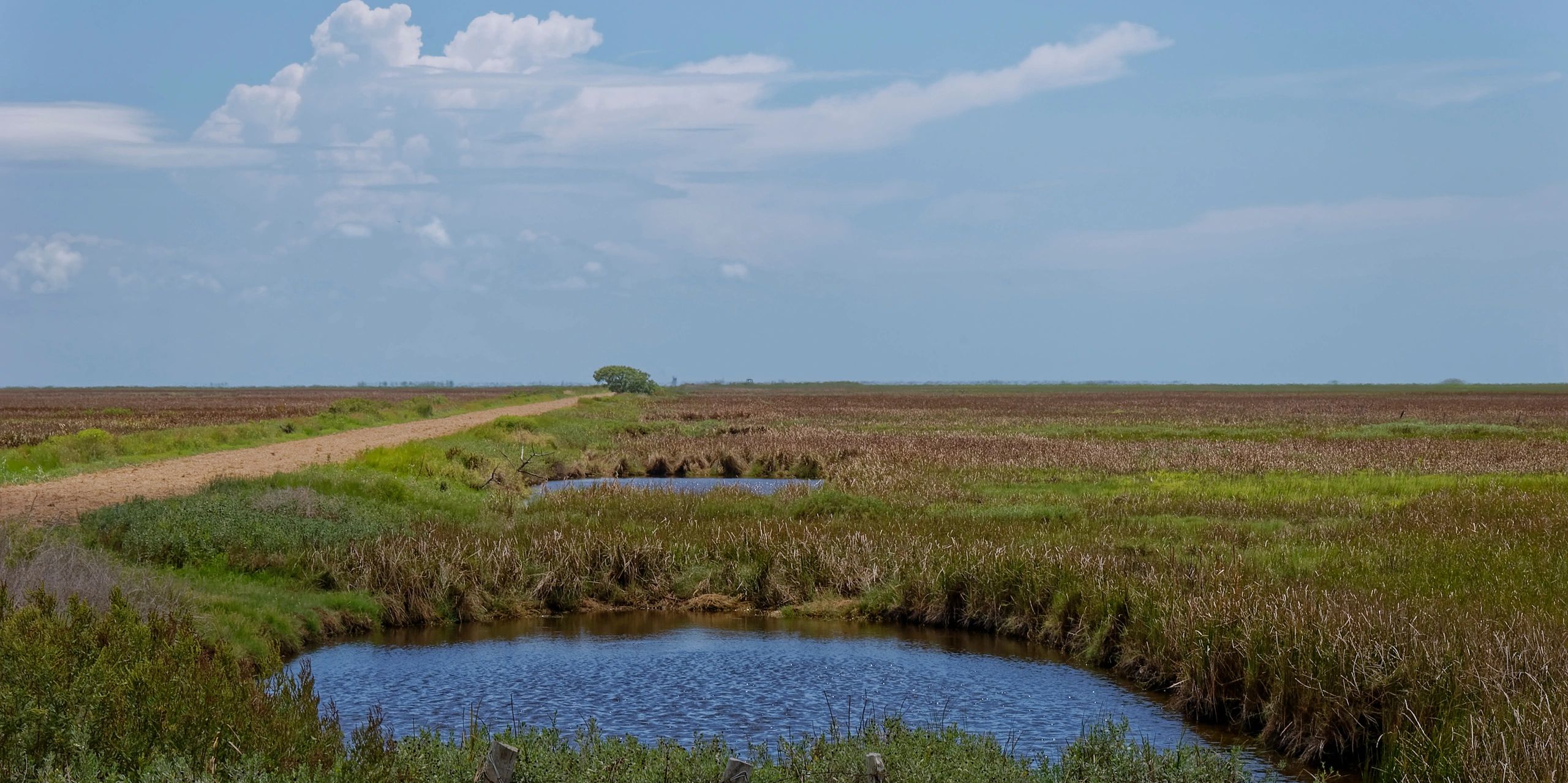 A dirt road runs through a vast marshland with a small water body under a blue sky.