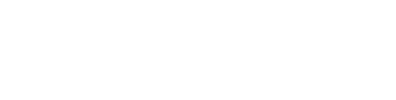 CAST
chicago animal shelter transport
