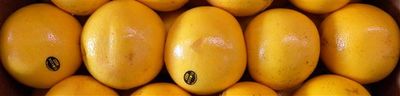 American grapefruit imports