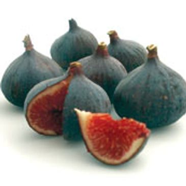 NOVAGRIM_FRANCE_importateur figues fraiches