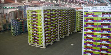 NOVAGRIM-FRANCE-IMPORTADOR DE FRUTAS FRESCAS y VERDURAS DESDE 1999 - ANNIVERSARIO 25 ANOS