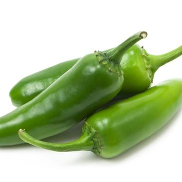 Novagrim_fransa jalapon biber ithalat
