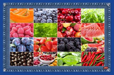 NOVAGRIM_FRANCIA importdor de frutas frescas
