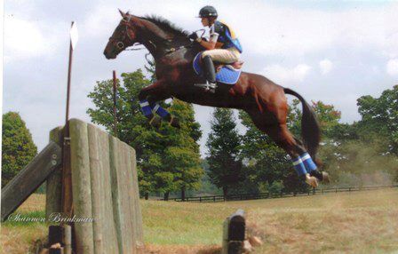 High Sierra Equestrian