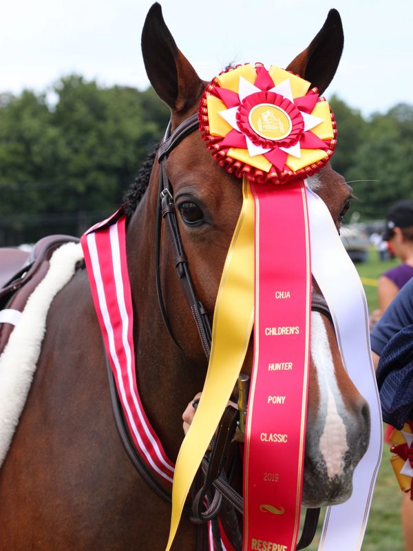 pony winning a year ends finals horse show.