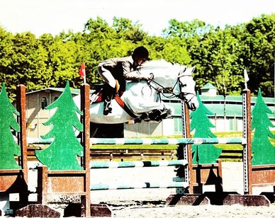 horse show with owned horse in westchester new york 