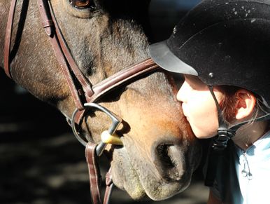 pony that is leased by a beginner rider for lessons in westchester new york