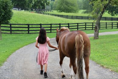 young rider taking her pony for a walk in Westchester, New York.